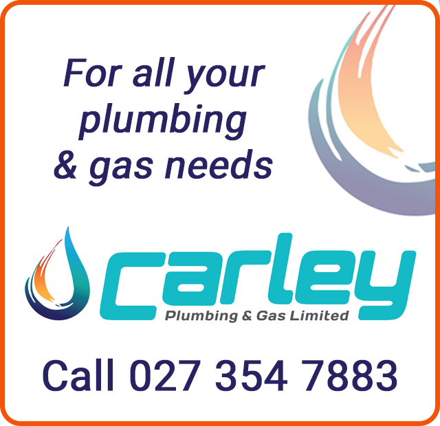 Carley Plumbing & Gas Limited - Vogeltown School - May 24